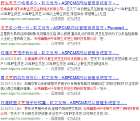 企業(yè)網(wǎng)絡(luò)營(yíng)銷(xiāo)與品牌推廣的全方位策劃方案