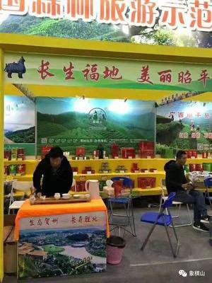 象棋山茶葉 回顧2018，展望2019——美麗山小緣分